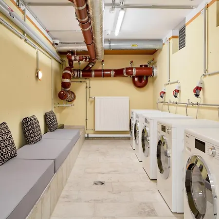 Schwan Locke München