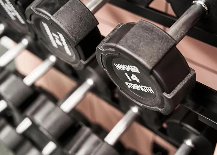 Schwan Locke Hotel Munich